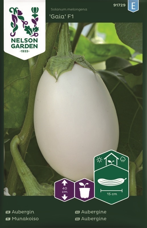 Aubergin, Gaia F1