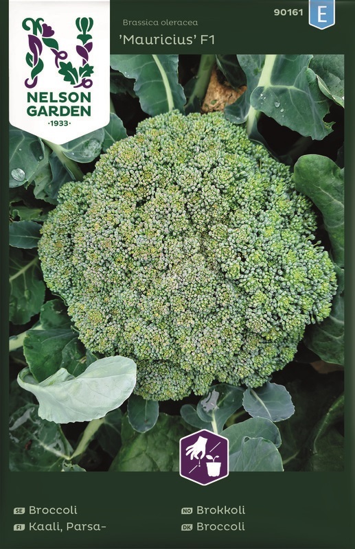 Broccoli Mauricius
