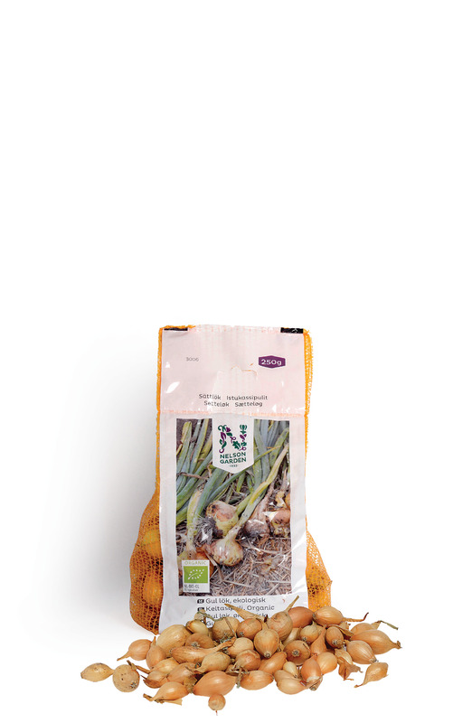 Sättlök Gul Organic. 250 g