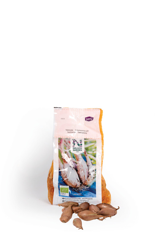Sättlök Schalottenlök Longor Organic 200 g