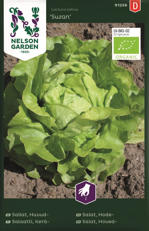 Sallat, Huvud-, Suzan, Organic