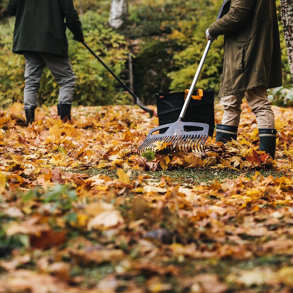 Lövräfsa X-series L 25FP plast/alu 49cm