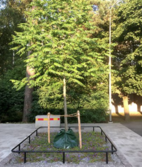 Bevattningssäck Tgross Premium 75L