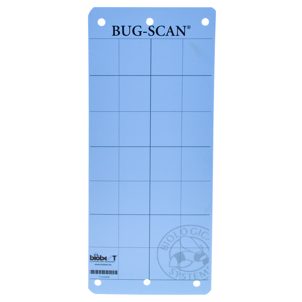 Klisterskiva Blå 20 pack 10x25cm