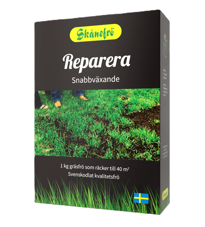 Reparera Skånefrö 1kg