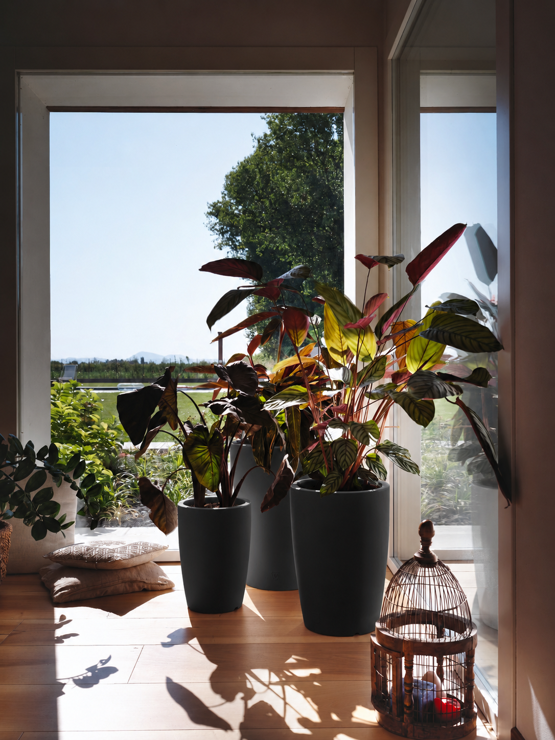 Vaso Genesis rotondo H 60cm, 66L, Antracit