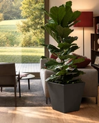 Vaso Cosmos doppia parete quadrato 65cm, 159L, Antracit
