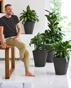 Vaso Cosmos doppia parete rotondo ø 65cm, 123L, Antracit