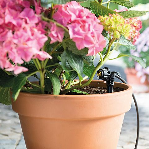 Hozelock Bevattningsset 4mm