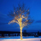 Ljusslinga ute/inne Chrissline 100 LED