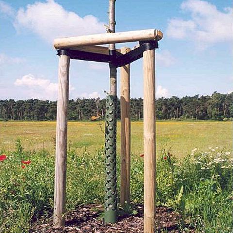 Granstör 2,4m 7 cm (ljusblå spets)