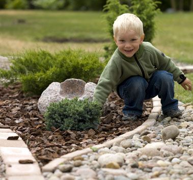 Hasselfors Pinjebark 50L