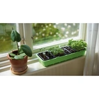 Minidrivhus Window med 24 krukor