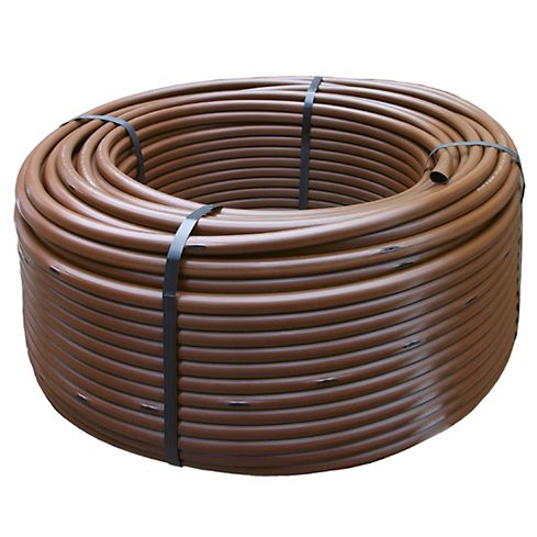 Rainbird Droppslang