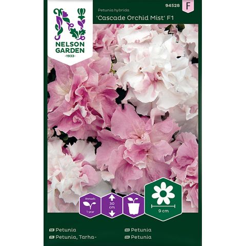 Petunia, Cascade Orchid Mist F1, dubbel, v17