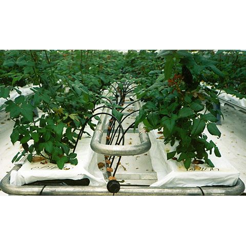 Tryckreglerande Drippers 2l/h grå/brun