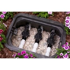 RB Ventilbrunn Jumbo