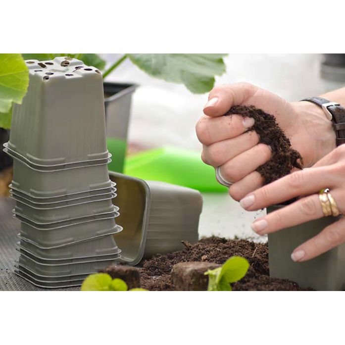 Biokruka grå 6cm (30st/fp)