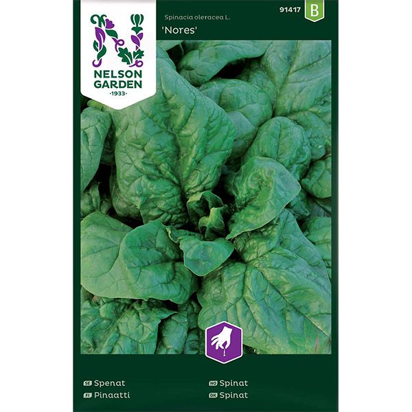 Spenat, Nores, v30