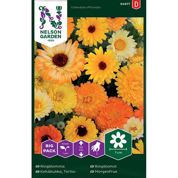 Ringblomma, bl färger, Big Pack, v30