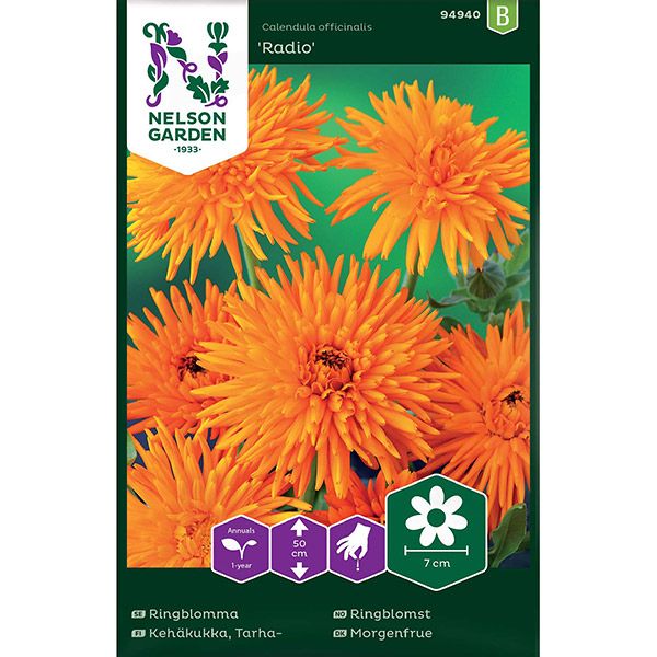 Ringblomma, Radio, v30