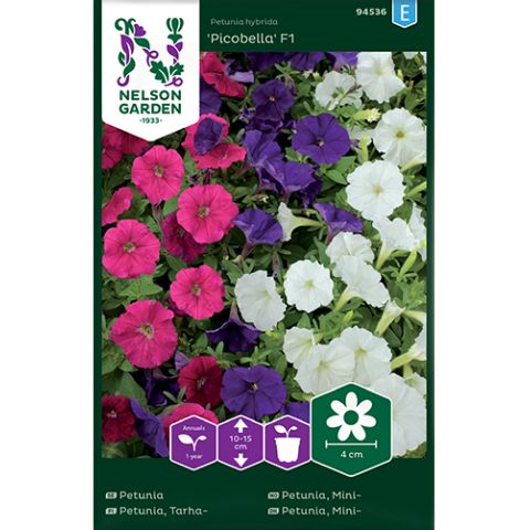 Petunia, Picobella F1, mini, bl färger, v17