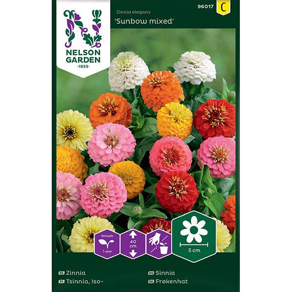 Zinnia, Sunbow, bl färger, v22