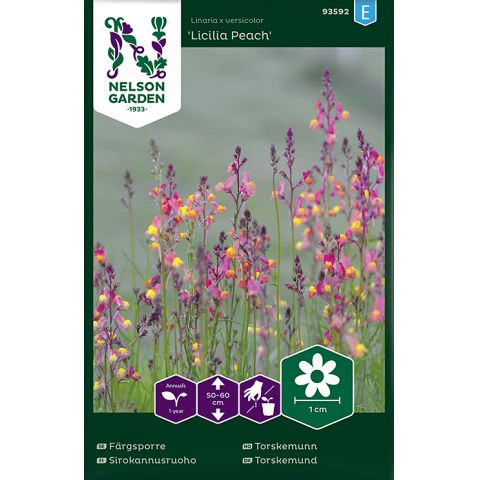 Färgsporre, Licilia peach, v24