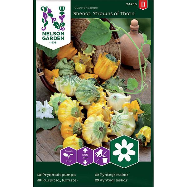 Prydnadspumpa, Crowns of Thorns, v26