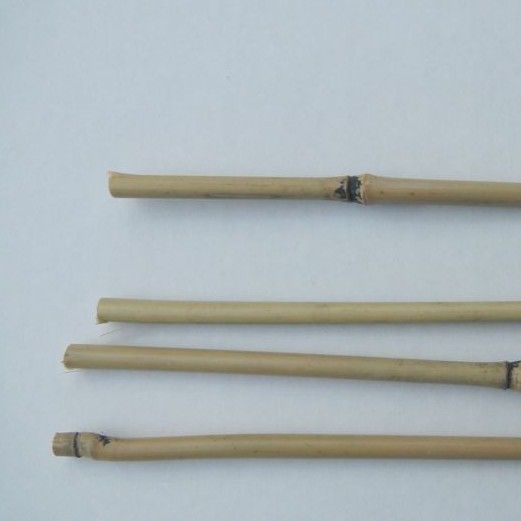 Bambukäpp 450 cm 15-pack