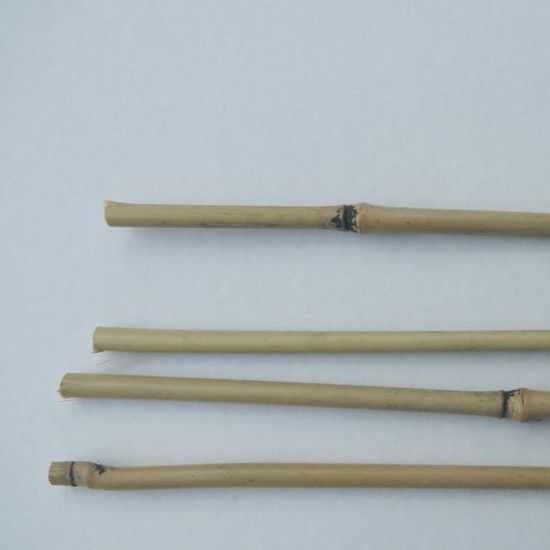 Bambukäpp 366 cm 50-pack