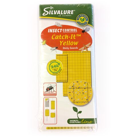 Catch It  Fångstark 10-p