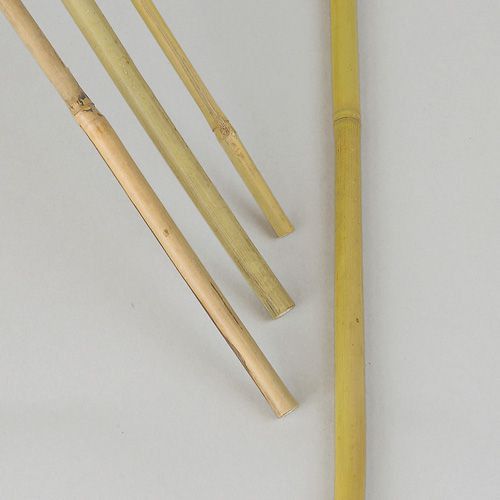 Bambukäpp 100 cm 10 pack