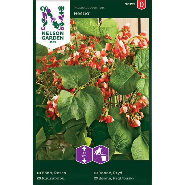 Böna, Blomster-, Hestia, låg, v26