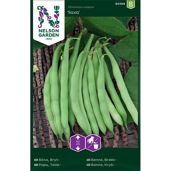 Böna, Bryt-, Saxa, v26