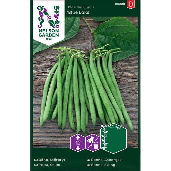 Böna, Störbryt-, Blue Lake, v26