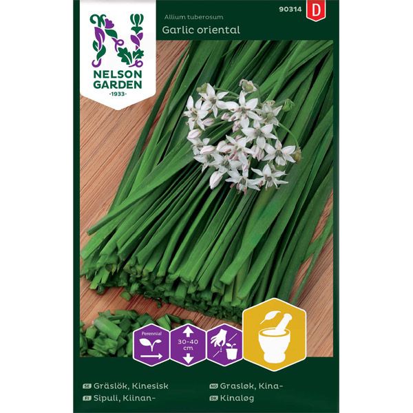Gräslök, Kinesisk, Garlic oriental, v30