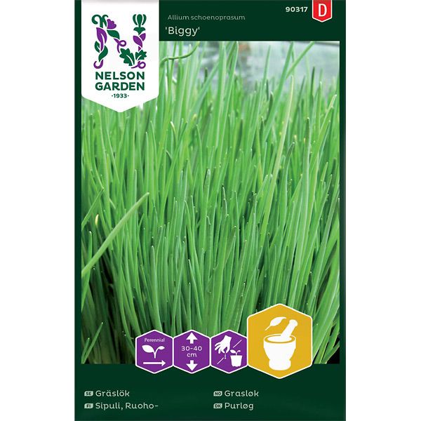 Gräslök, Vanlig, Biggy, v30