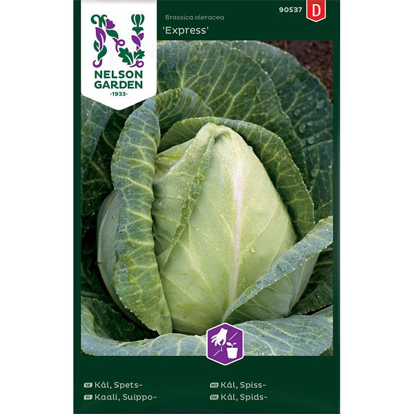 Kål, Spets-, Express, v26