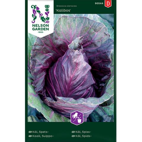Kål, Spets-, Kalibos, v26