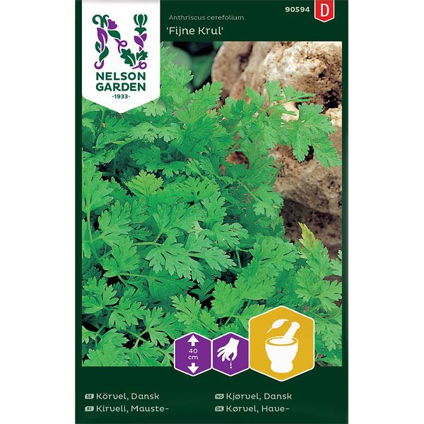 Körvel, Dansk, Fijne Krul, v26
