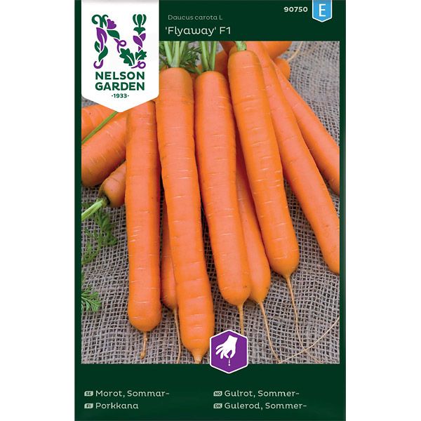 Morot, Sommar-, Flyaway F1, v26