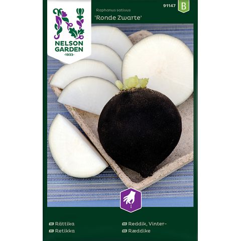 Rättika, Ronde Zwarte, v30