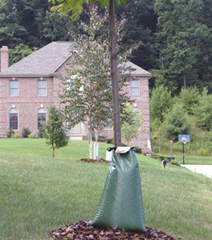 Bevattningssäck Treegator 75L