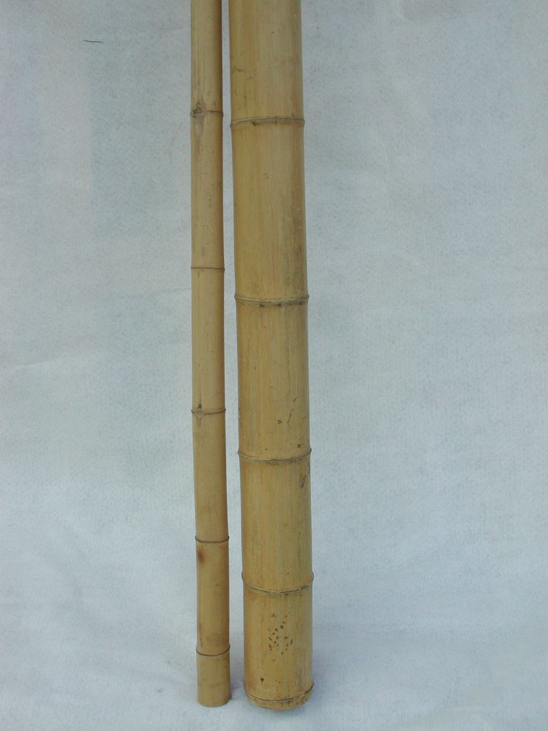 Dekorationsbambu 305 cm 100 mm
