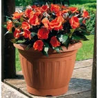 Firenze Kruka 40cm Terracotta