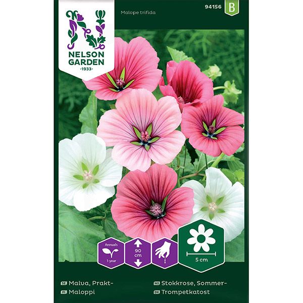 Malva, Prakt-, bl färger, v26