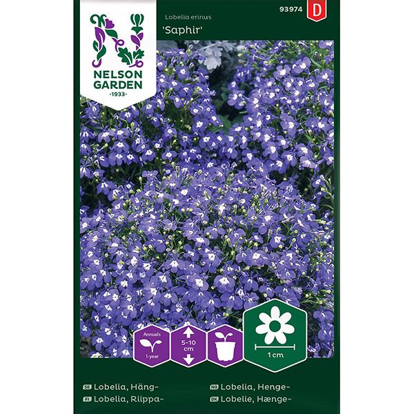 Lobelia, Häng-, Saphir, blå, v17