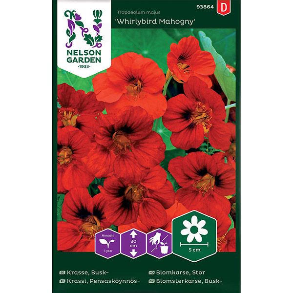 Krasse, Busk-, Whirlybird Mahogny, v26