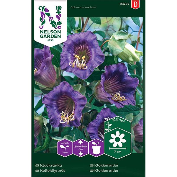 Klockranka, blå, v17